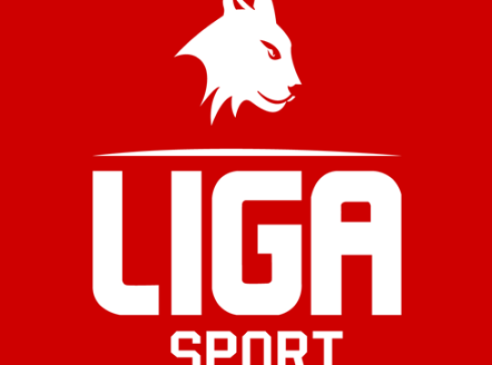 Fodbold - Liga Sport - nyt brand