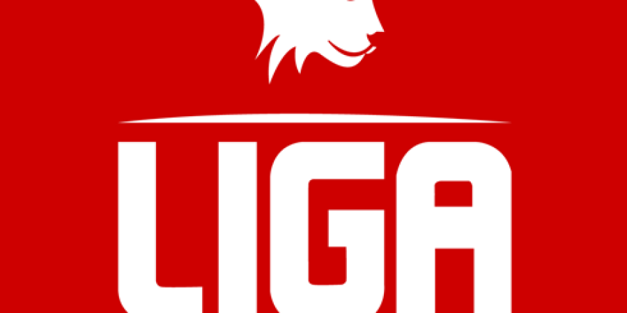 Fodbold - Liga Sport - nyt brand
